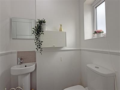 Picture 12